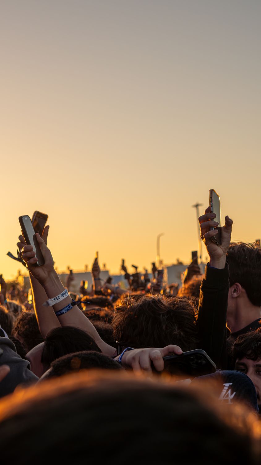 Golden-hour festival crowd with hands and phones raised