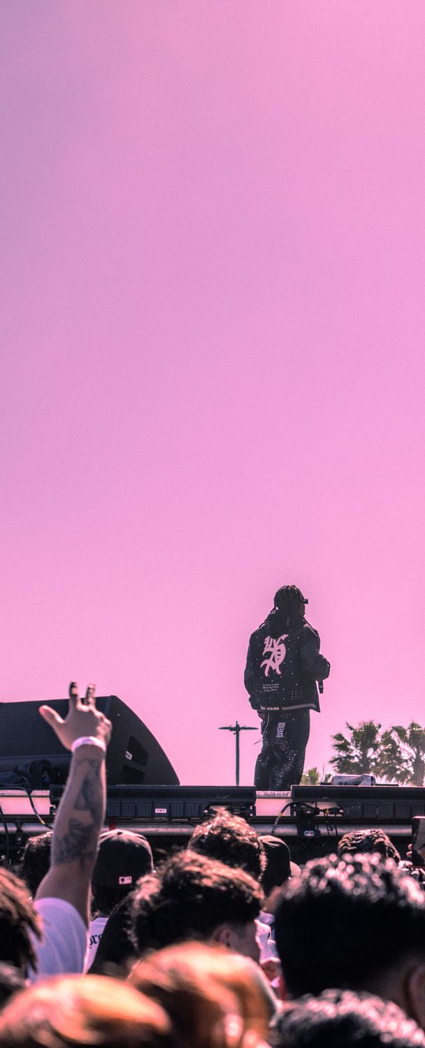 Crowd with raised hands under a pink sky, a performer silhouetted on stage