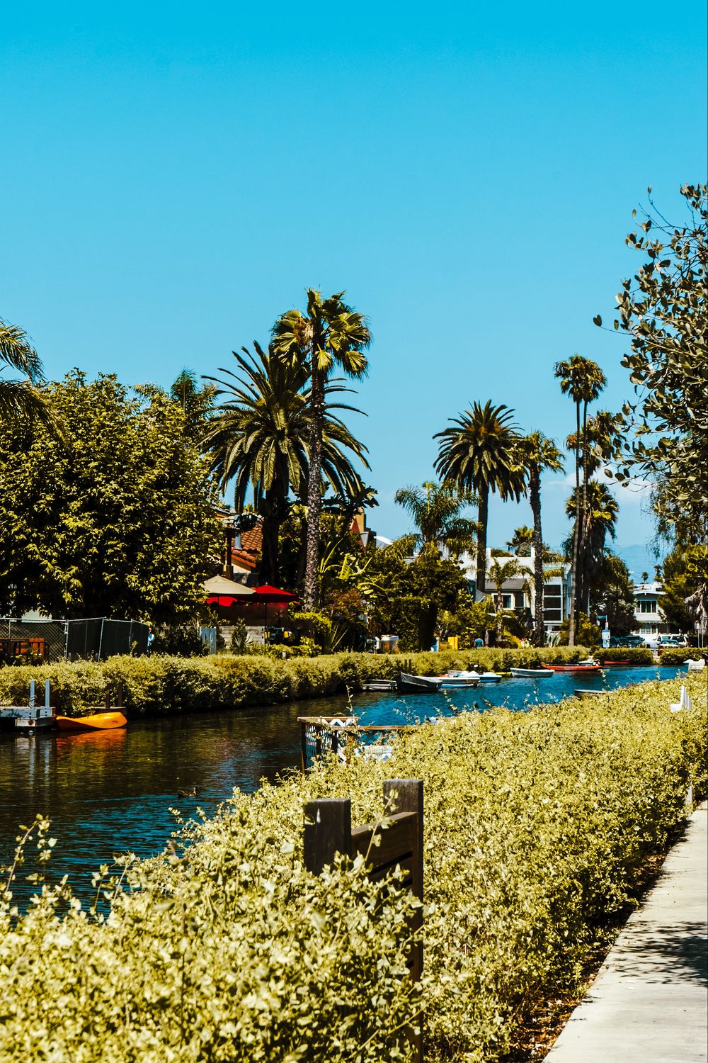 A canal lined with palm trees and trimmed hedges under a bright blue sky